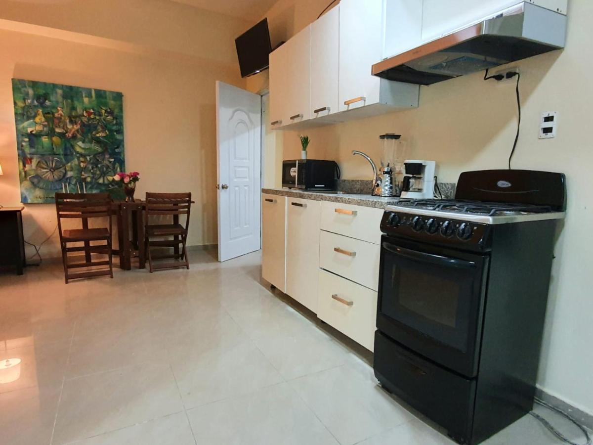 סנטו דומינגו Apartamentos Roman מראה חיצוני תמונה